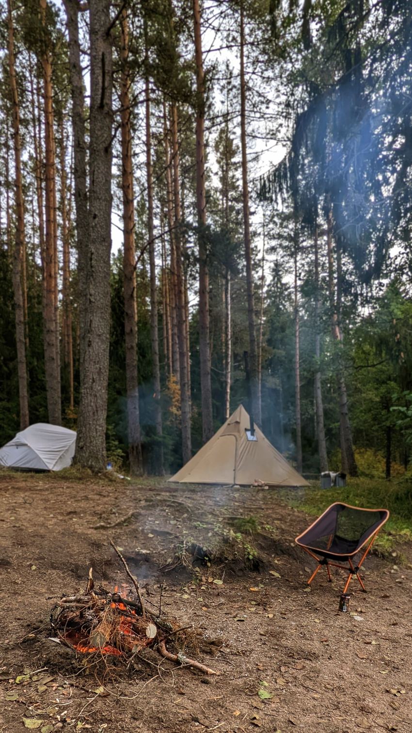 Telksauna rent — õhtune laager mändide all